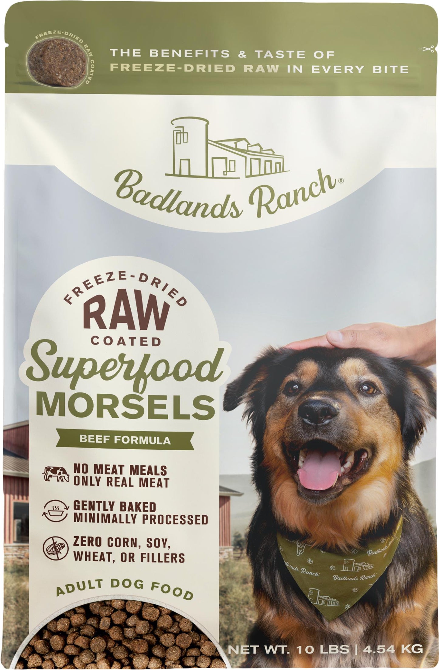 Badland Superfood Raw Coated Morsels
