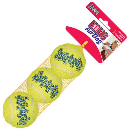 Kong Airdog