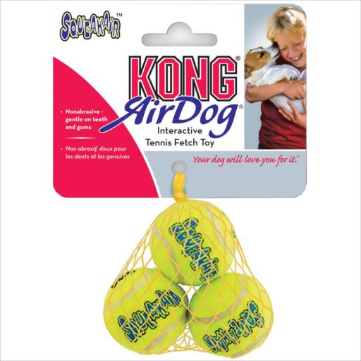 Kong Airdog